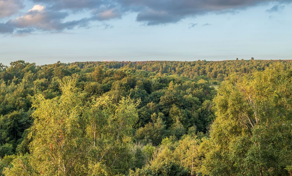 Birchen Edge